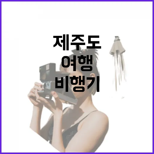제주도비행기예약을 서두르지 않고 해봤더니, 골목 여행이 더 쉬워졌다 - 요약
