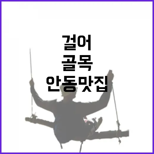안동맛집을 일부러 골목으로만 걸어봤더니 보인 조용한 밥집들 - 요약