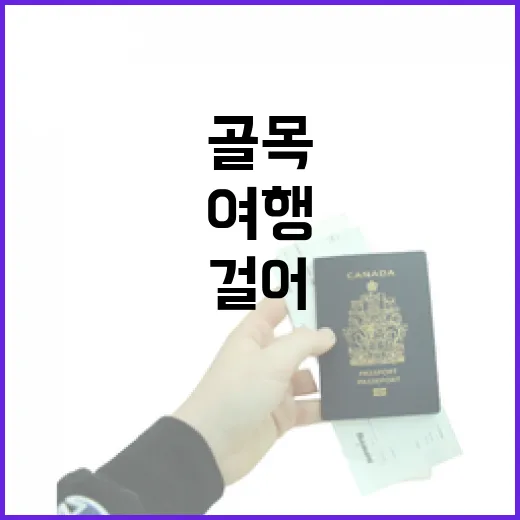 관광지 대신 동네 골목을 따라 걸어봤더니 여행이 조금 조용해졌다 - 요약