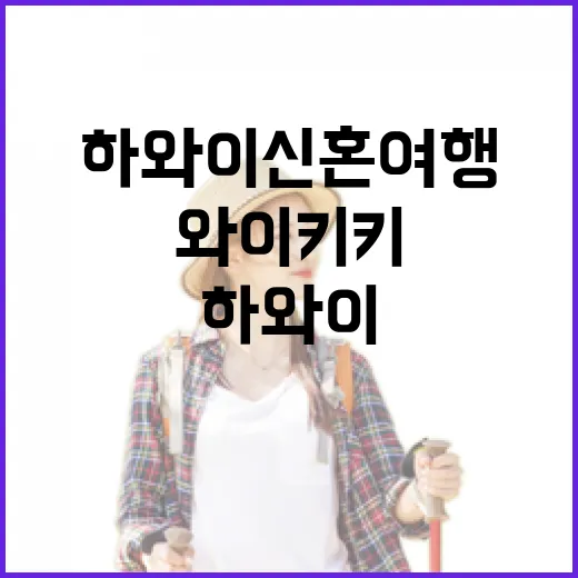 하와이신혼여행을 와이키키 밖으로 걸어봤더니 보였던 조용한 장면들 - 요약