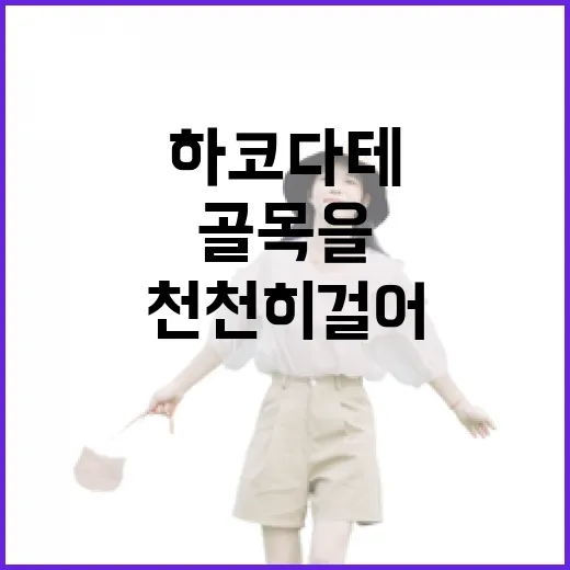 하코다테 골목을 일부러 천천히 걸어봤더니 보인 것들 - 요약