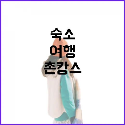 촌캉스숙소에서 하루 묵어봤더니, 여행보다 동네에 가까웠던 이야기 - 요약