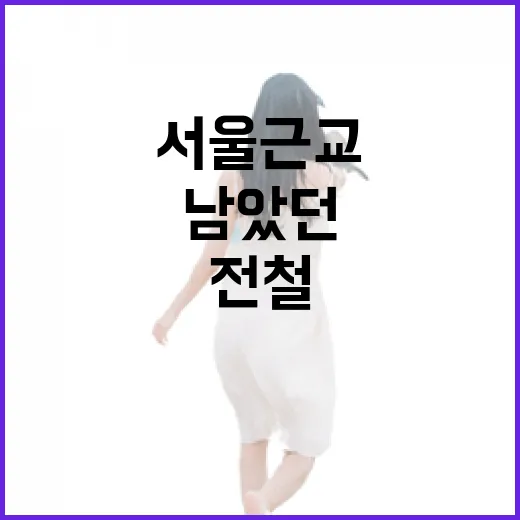 전철 타고 서울 근교 골목을 걸어봤더니, 유명한 곳보다 오래 남았던 하루 - 요약