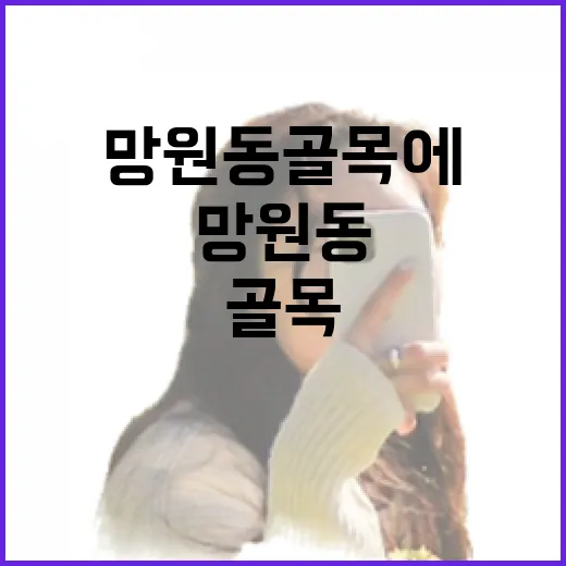망원동 골목에서 조용한 밥집만 따라 걸어봤더니 - 요약