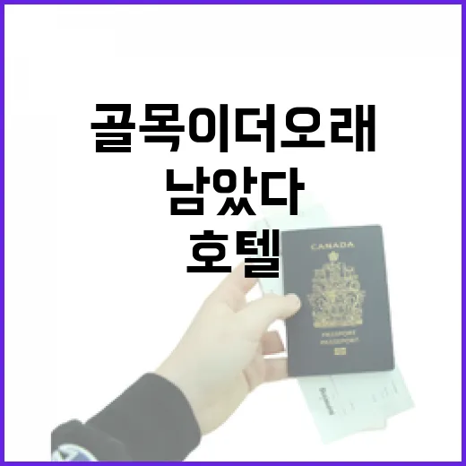 명동호텔에 묵어봤더니, 관광지보다 골목이 더 오래 남았다 - 요약