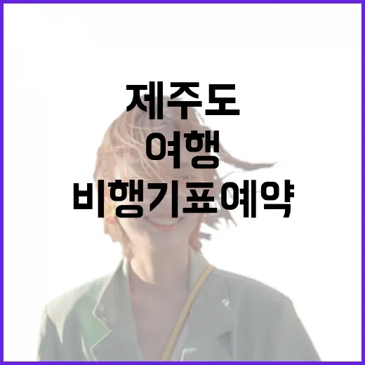 제주도비행기표예약을 느긋하게 해봤더니, 여행의 속도가 달라졌다 - 요약