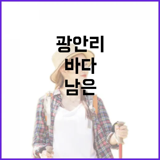 광안리 골목심을 천천히 걸어봤더니 바다보다 오래 남은 장면들 - 요약