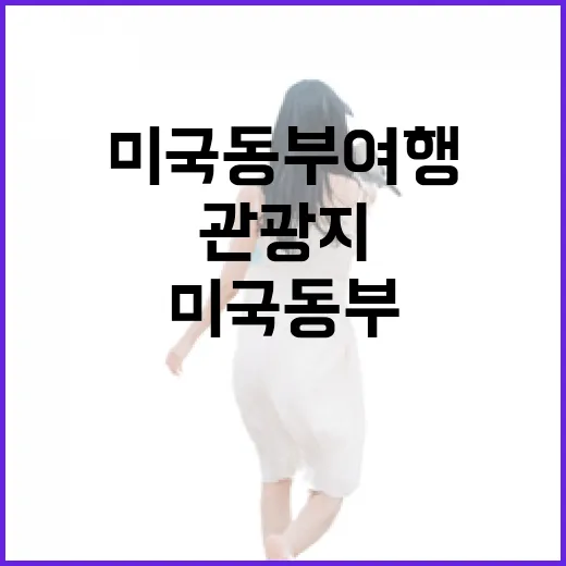 미국동부여행에서 관광지 대신 동네 골목만 걸어봤더니 보였던 것들 - 요약
