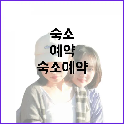 숙소예약사이트만 믿고 골목 숙소를 찾아다녀봤더니 보인 것들 - 요약