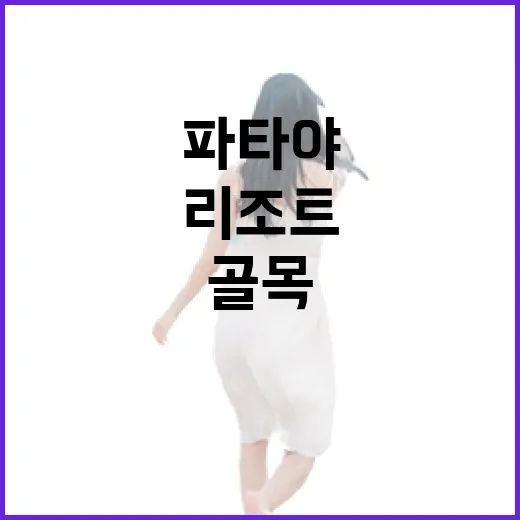 파타야리조트 골목 안쪽으로 들어가 쉬어봤더니 보인 것들 - 요약