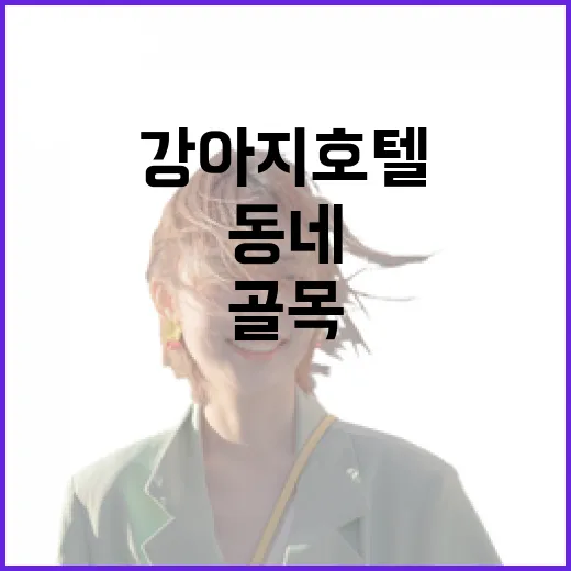 강아지호텔 직접 맡겨봤더니, 동네 골목에서 찾은 작은 안심의 기록 - 요약