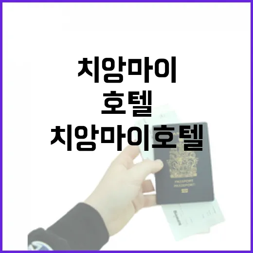 치앙마이호텔 골목 안쪽으로 잡아봤더니 밤이 더 조용했다 - 요약