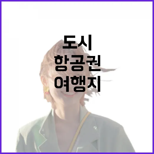 구글항공권으로 조용한 동네 여행지를 골라봤더니, 유명 도시보다 오래 남았다 - 요약