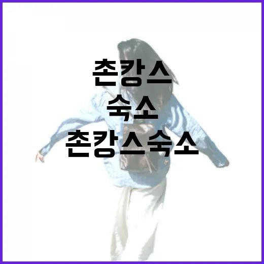 촌캉스숙소에서 하룻밤 묵어봤더니, 조용한 동네가 먼저 보였다 - 요약