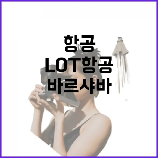 LOT항공 타고 바르샤바를 거쳐 동네 골목까지 가봤더니 - 요약