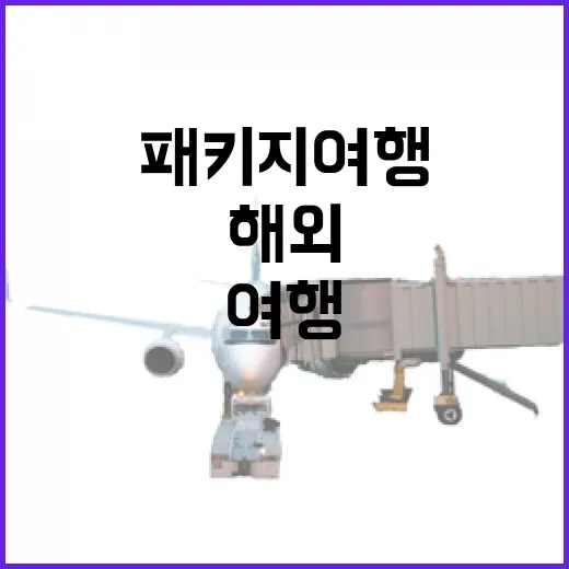 해외패키지여행으로 골목 시간을 챙겨봤더니 보인 것들 - 요약