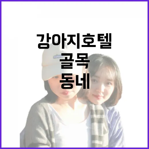 동네 강아지호텔에 직접 맡겨봤더니, 조용한 골목에서 더 안심됐던 이야기 - 요약