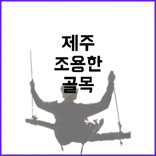 제주호텔예약을 골목 기준으로 해봤더니 보였던 조용한 동네들 - 요약