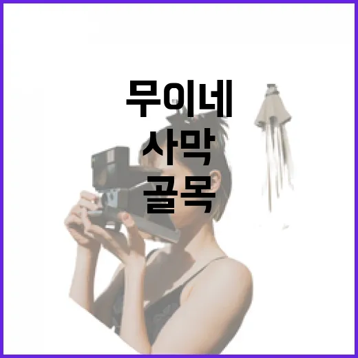 무이네 골목을 천천히 걸어봤더니, 사막보다 오래 남은 장면들 - 요약