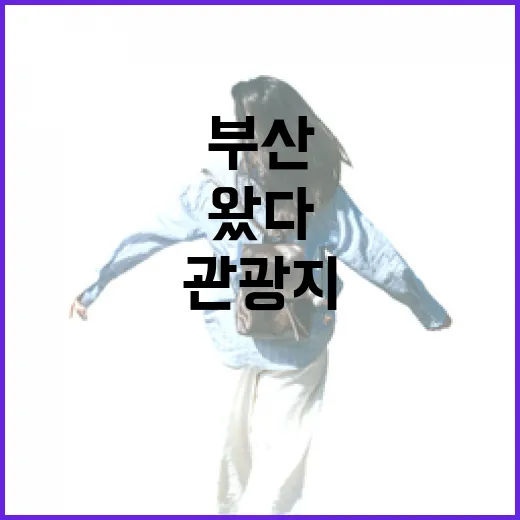 부산 서초갈비 골목까지 걸어가 봤더니, 관광지 밖 저녁 냄새가 먼저 왔다 - 요약