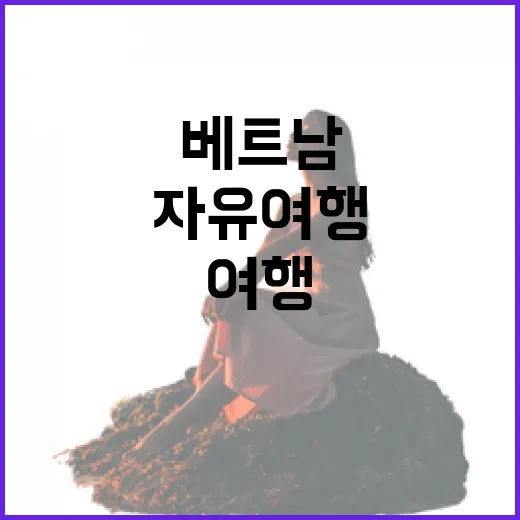 베트남자유여행으로 골목만 걸어봤더니 보였던 조용한 순간들 - 요약
