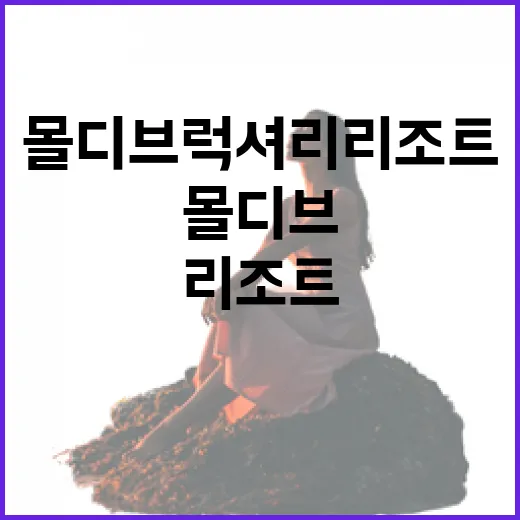 몰디브럭셔리리조트에 직접 묵어봤더니, 가장 좋았던 건 조용한 부두와 아침 골목이었다 - 요약
