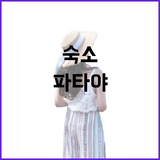 파타야숙소를 골목 안쪽으로 잡아봤더니 보였던 조용한 밤의 얼굴 - 요약
