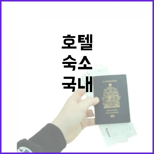 국내유명호텔 대신 동네 숙소를 골라봤더니 보인 것들 - 요약