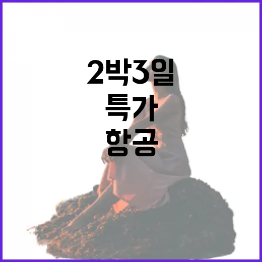 티웨이항공특가로 떠난 2박 3일, 유명 관광지 대신 동네 골목만 걸어봤더니 - 요약