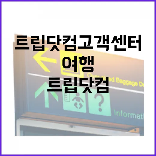 골목 여행 중 트립닷컴고객센터에 직접 연락해봤더니 남은 것들 - 요약