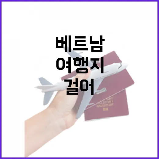 베트남 유명 관광지 대신 골목으로 걸어봤더니 보였던 조용한 여행지들 - 요약