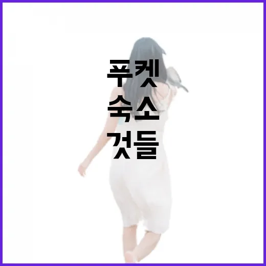 푸켓숙소를 일부러 골목 안쪽으로 잡아봤더니 보였던 것들 - 요약