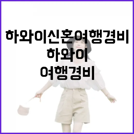 하와이 신혼여행 경비를 직접 짜봤더니, 와이키키보다 골목값이 더 기억났다 - 요약
