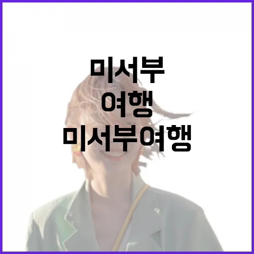 미서부여행에서 유명한 곳 대신 동네 골목만 따라가봤더니 - 요약