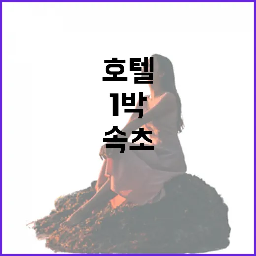 속초호텔만 보고 갔다가 골목 산책까지 오래 남았던 1박 후기 - 요약