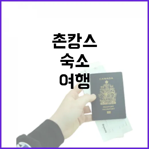 촌캉스숙소에서 하룻밤 묵어봤더니, 여행이 조용해지는 시간이 있었다 - 요약