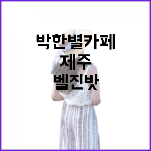 박한별 카페라길래 들렀다가, 제주 서쪽 밭길이 더 오래 남았던 벨진밧 후기 - 요약