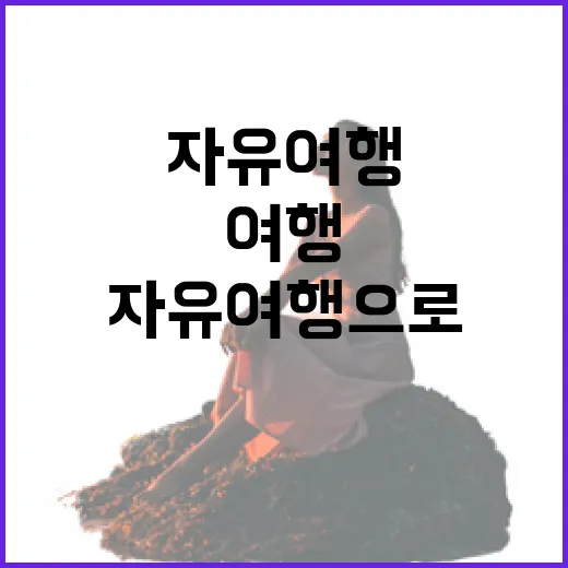 자유여행으로 동네 골목만 걸어봤더니 남는 장면들 - 요약