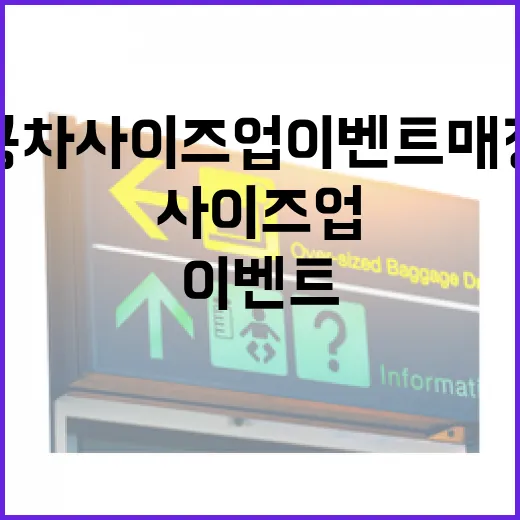 공차 사이즈업 이벤트 매장 찾아 동네길로 걸어봤더니 - 요약