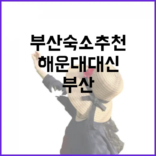 부산숙소추천, 해운대 대신 동네에 묵어봤더니 보인 것들 - 요약