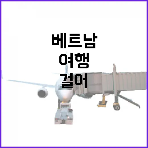 베트남여행에서 유명한 곳을 조금 비켜 걸어봤더니 보였던 동네의 얼굴 - 요약