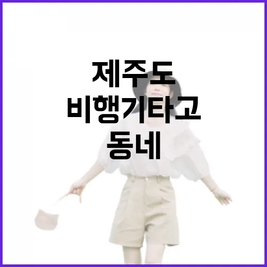 제주도비행기 타고 조용한 동네로 흘러가봤더니 보였던 것들 - 요약