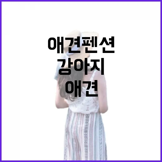 사람 적은 애견펜션을 직접 다녀와봤더니, 강아지도 사람도 천천히 쉬었다 - 요약