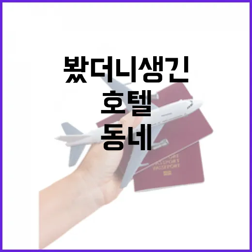 제주도호텔을 큰길 말고 동네 안쪽에서 골라봤더니 생긴 일 - 요약
