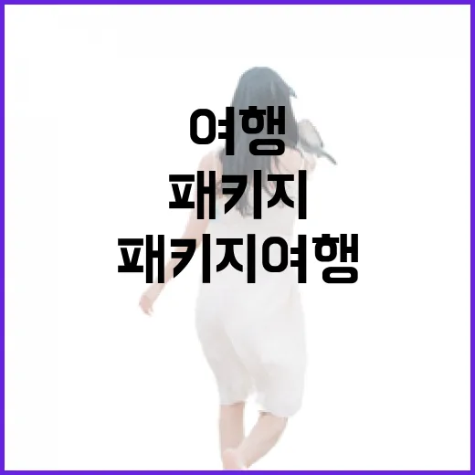 패키지여행으로 조용한 동네까지 갈 수 있을까, 직접 따라가며 느낀 진짜 이야기 - 요약
