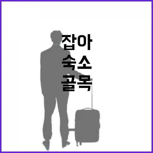 서울숙소를 골목 안쪽으로 잡아봤더니 보인 것들 - 요약