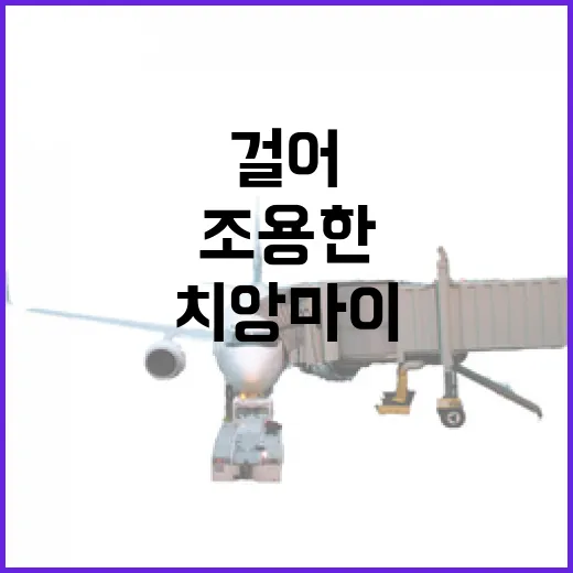 치앙마이 골목만 걸어봤더니, 조용한 동네가 더 오래 남았다 - 요약