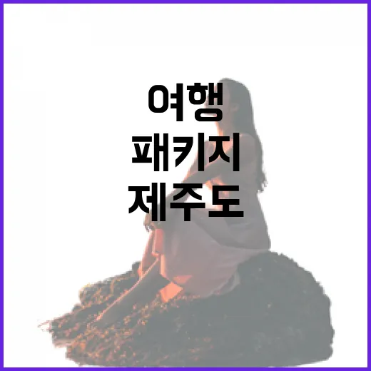 제주도패키지여행으로 골목만 골라 걸어봤더니 보인 것들 - 요약