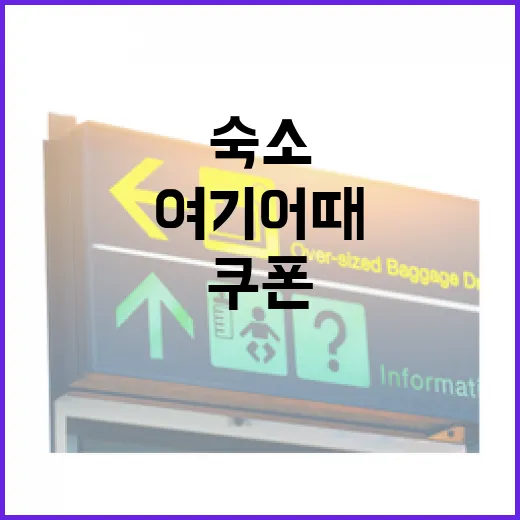 여기어때쿠폰 들고 동네 숙소로 하루 숨어봤더니 생긴 일 - 요약