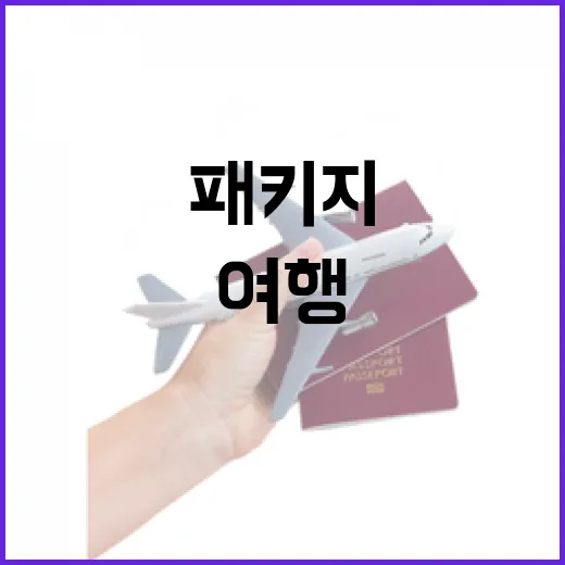 해외패키지여행으로 골목을 걸을 수 있을까, 직접 다녀와 보니 보인 것들 - 요약